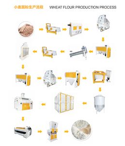 Projet industriel clé <span class=keywords><strong>en</strong></span> main moulin à <span class=keywords><strong>farine</strong></span> de maïs de blé de 300 tonnes pour <span class=keywords><strong>farine</strong></span> de maïs super <span class=keywords><strong>blanche</strong></span> - Product Image 6