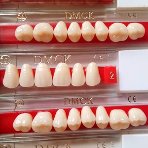 Dientes de Resina Acrílica Dental de Alta Calidad, Superiores e Inferiores, Anteriores y Posteriores - Product Image 5