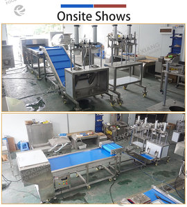 เครื่องแปรรูปสับปะรด FENGXIANG 500-1000 กก./ชม. กึ่งอัตโนมัติ สำหรับคว้านเมล็ด ปอกเปลือก ตัดเป็นชิ้น และหั่นเป็นเส้น สำหรับกระบวนการแปรรูปผลไม้ - Product Image 2