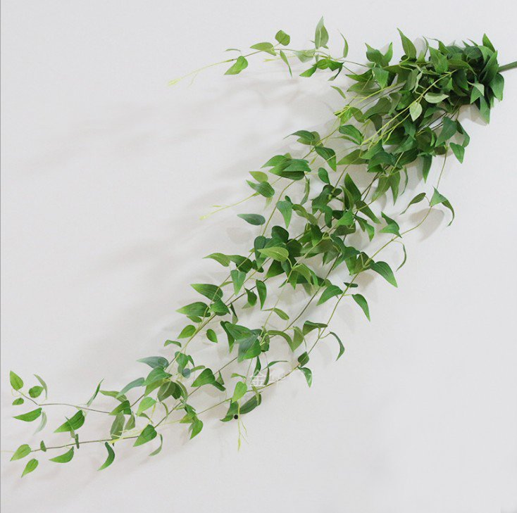 120cm large vine leaves