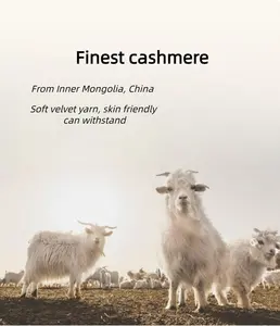 The Factory Sells Large Quantities Of Cashmere Wool Blended Yarn 30% Cashmere 70% Wool 2/26Nm Merino Wool