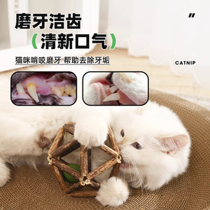 Balle à chatouiller en bois géométrique de 12 cm pour chats, jouet interactif - Product Image 2