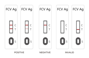 工厂猫FCV Ag猫杯状病毒抗体快速检测试剂盒 - Product Image 2