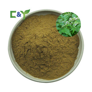 Haute qualité 10:1 <span class=keywords><strong>5</strong></span>% <span class=keywords><strong>Vitexin</strong></span> naturel extrait de fruit de <span class=keywords><strong>chasteberry</strong></span> poudre Vitex Agnus Castus extrait de plante Stock d'extrait - Product Image 1