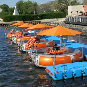 Proyecto Exitoso barbacoa eléctrica ocio barco 10-12 personas barbacoa donut barco con parrilla para parques acuáticos