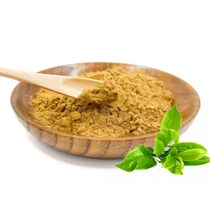 Polvo de té verde soluble en agua a granel OEM extractos de hierbas orgánicas polvo de té verde instantáneo para helado pastel materia prima alimentaria