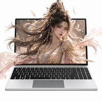 Ordinateur portable personnalisé 14 pouces AMD R5 3500U Win11 64 Go de RAM 2 To de SSD Sortie HDMI Type C Ordinateurs portables fins Ordinateur portable professionnel
