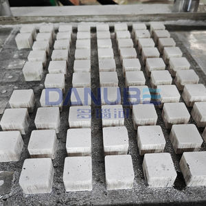 Machine à briquettes de charbon de bois poudre de coquille de noix de coco formant une ligne de production à grande échelle - Product Image 3