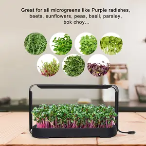 Système de jardinage intérieur système de culture hydroponique plante cultiver jardin mini serre pour semis