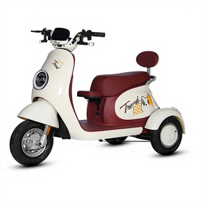 Nouveau modèle Q70 Tricycle compact avec siège enfant intégré, véhicule domestique, vélo de loisirs pour femmes et enfants, 48V-72V - Product Image 1