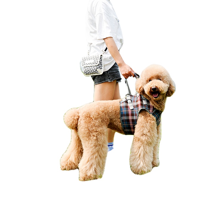 Amazon хот Регулируемый Собачий ремень Поддержка передних ножек ремень для прогулок dag