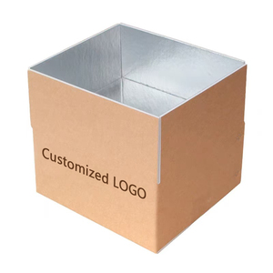 Biểu Tượng Tùy Chỉnh Cá Thịt Rau Trái Cây Xốp Ăn Trưa Cách Điện Vận Chuyển Hộp Carton Nhôm Lá Mỏng Miếng Bọt Biển Cho Thực Phẩm Đông Lạnh - Product Image 3