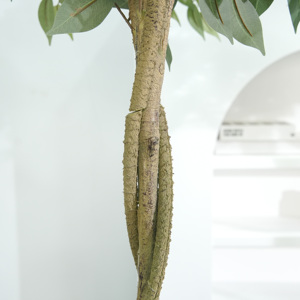 Nhân Tạo Lớn Ficus Cây 6ft Sàn Chậu Trang Trí Nội Thất Thực Tế <span class=keywords><strong>Banyan</strong></span> Cây Với Lụa Lá Cho Trong Nhà Nhà Văn Phòng Phòng Sảnh Trang Trí Nội Thất - Product Image 4