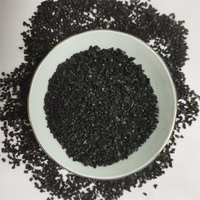 Charbon actif écologique 6x12 mailles haute dureté pour la précipitation chimique et les usines de récupération d'or
