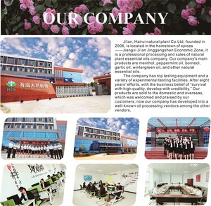 도매 대량 메틸 살리실산 에센셜 오일 화장품 등급 노란 액체 판매 - Product Image 3