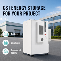 125kW 241kWh C&I Enerji Depolama Sistemi LiFePO4 Batarya ESS, Tepe Tüketimini Düşürme, Talep Yönetimi, Güneş Enerjisi Kendi Kendine Tüketim EMS Projesi için