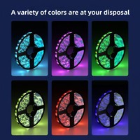 Lampu LED 5V 5050 RGB Strip Tujuh Warna USB Epoxy ABS Tahan Air 24 Tombol Lampu Suasana Latar Belakang TV Daya Tahan 50000 Jam