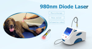 Terapia de clase IV diodo láser único 30W 980nm alivio del dolor Hospital mascota animal recuperación de heridas fisioterapia máquina veterinaria - Product Image 2