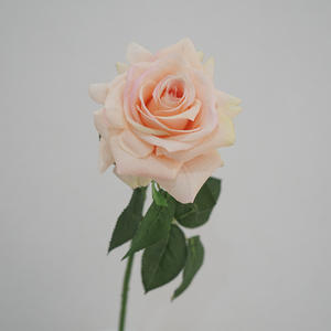 Rose artificielle rose de haute qualité, toucher réel, longue durée, écologique, décoration florale, marque <span class=keywords><strong>LIAI</strong></span>, intérieur/extérieur, pour la maison - Product Image 6