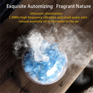 Đầy Màu sắc B2B thị trường 2026 hoa độ ẩm không khí LED chai thủy tinh khuếch tán dầu - Product Image 2