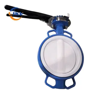 Ductile Iron Ptfe Fully Lined Disc Wafer Butterfly Valve with Aluminium Handle Lever
