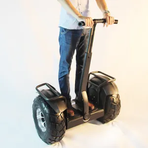 Adult Personal Transporter Two Wheels Smart Self Balancing Electric Scooter