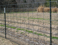 Duurzame 6 Voet Hoge Elektrische Boerderij Hek Palen Goedkope Metalen Ster Piket Voor Berm & Farm 3d Modellering Service Beschikbaar
