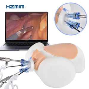 Medical Abdominal Laparoscopic Simulator for Simulated Sacrodesis Female Presacral Anatomy Gynecological Surgery Training