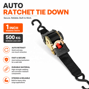 <span class=keywords><strong>Sangle</strong></span> d'arrimage à <span class=keywords><strong>cliquet</strong></span> rétractable pour moto de 1 pouce, certifiée CE ISO 9001, longueur 2 m, résistance à la rupture 500 kg, avec crochets en S - Product Image 1