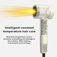 Sèche-cheveux ionique professionnel personnalisé de style moderne pour salon, faible bruit, sûr, avec buse concentratrice, moteur BLDC 1600W