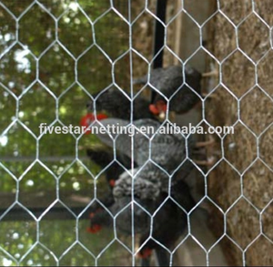 Dingzhou Five-Star Metals 10X10 cm Valla de pollo galvanizada 13 mm <span class=keywords><strong>Pvc</strong></span> Alambre Malla de ganchillo Precio por metro para escultura - Product Image 6