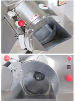 SH30 Fruit- en groentesnijder, citroen- en aardappelsnijmachine