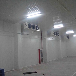 Estructura de Acero con Paneles de PU para Almacenamiento en Frío <span class=keywords><strong>C5</strong></span>, Construcción de Almacén Llave en Mano Anticorrosiva, Sin Cortes, Estándar ASTM - Product Image 4