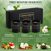 Coffret cadeau de bougies parfumées, usage domestique haut de gamme, parfum à la cire de soja, coffret cadeau d'anniversaire pour femmes
