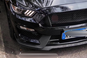 Kit carrosserie pare-chocs voiture pour <span class=keywords><strong>Ford</strong></span> <span class=keywords><strong>mustang</strong></span> <span class=keywords><strong>gt</strong></span> 350 kit carrosserie pare-chocs avant - Product Image 6