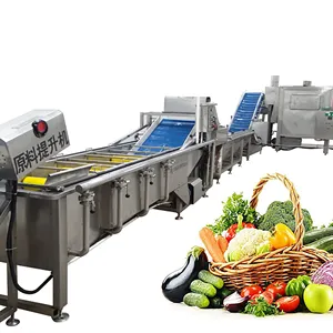 vegetable and fruit washing sorting and drying production line