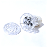 Module LED Pixel E10 RGB IP65, ampoule pour manège de fête foraine, éclairage ponctuel multicolore, AC24V 2W pour parc à thème