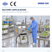 Automatische CNC groente- en fruitsnijmachine met SUS304 roestvrijstalen motor, eenvoudige bediening, snijmachine voor arbeidsbesparende keuken