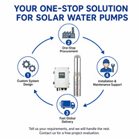 Pompe à eau solaire submersible en acier inoxydable 1HP DC à haute pression (140m) économique pour l'agriculture maraîchère et la vente en gros au Zimbabwe