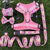 Accessoires pour animaux de compagnie, imprimé personnalisé, nœud papillon pour chien, chiot, nœud papillon coloré, Durable, mobile, chat, chien, nœud papillon pour collier de chien