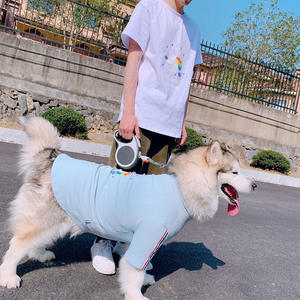 S ~ 6XL gros <span class=keywords><strong>famille</strong></span> petit moyen grand <span class=keywords><strong>chien</strong></span> <span class=keywords><strong>de</strong></span> compagnie correspondant vêtements vêtements robe - Product Image 4