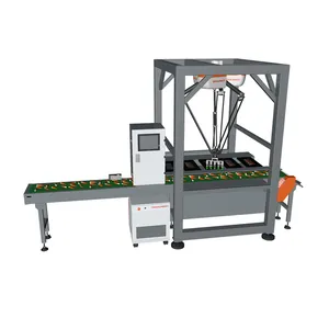 Robot Food Pick&Pack Packing System Supplier