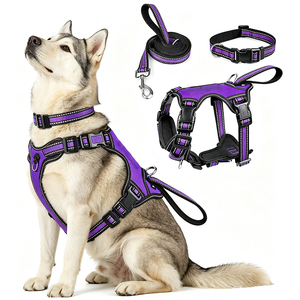 Conjunto de Arnés y Correa Reflectantes para Perros Pequeños y Grandes, para Entrenamiento al Aire Libre, Caminatas, Arnés Transpirable y Acolchado para el Pecho - Product Image 1