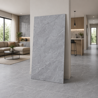Dalle en pierre frittée grise mate DCT 1200*2600*12mm, imperméable et antidérapante pour la décoration des murs et sols intérieurs