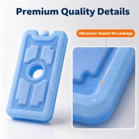 Brique de glace en plastique rigide HDPE de qualité alimentaire, 150 ml, étanche, pour le camping en plein air, les pique-niques, les sacs isothermes, les boîtes à lunch, le refroidissement
