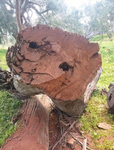 Testere rulo 325 100ft stepl kaliteli testere zinciri - Product Image 4