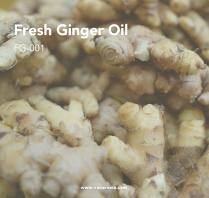 Huile Essentielle de Gingembre Frais Biologique Pur de Haute Pureté, Extraite par Extraction Supercritique au CO2, Vente en Gros en Vrac, CAS pour la Croissance Capillaire - Product Image 1