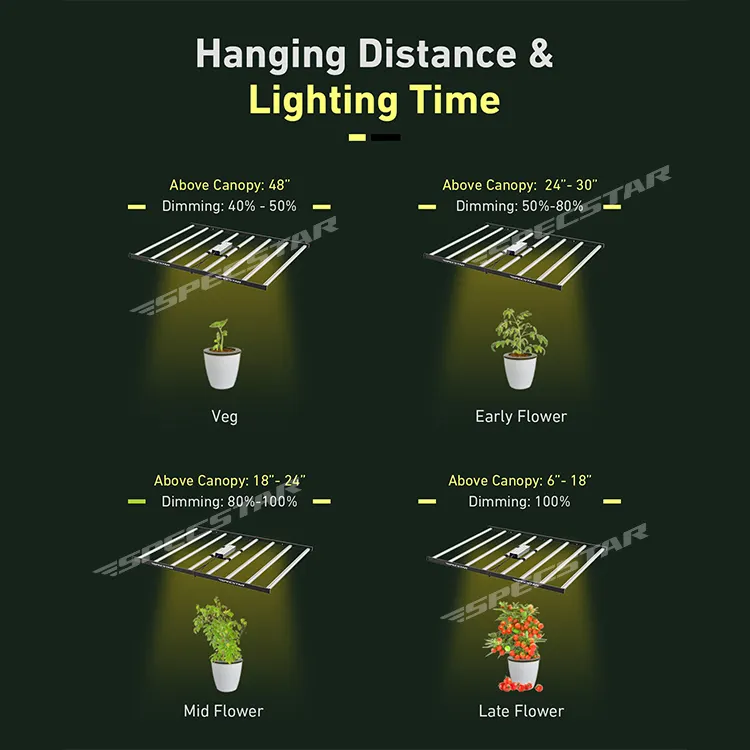 2024 nouvelles lumières de haute qualité pour les plantes hydroponiques à spectre complet Led élèvent la lumière avec le prix de gros d'usine