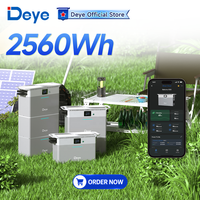 Deye 2026 Batterie de stockage d'énergie portable au lithium-ion IP65 Lifepo4 pour balcon, fabricants