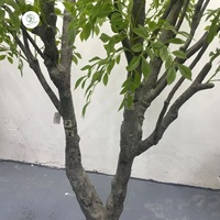 Simulation élevée personnalisée feuilles d'automne érable Canada artificiel rouge orme du Japon faux arbre en plastique décoration pour la maison et le bureau